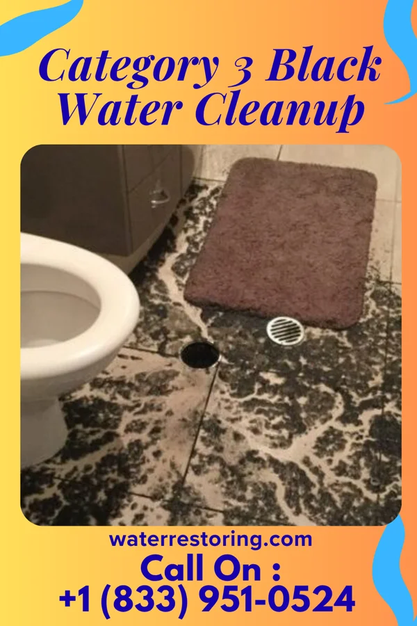 Category 3 Black Water Cleanup in Castleberry, AL