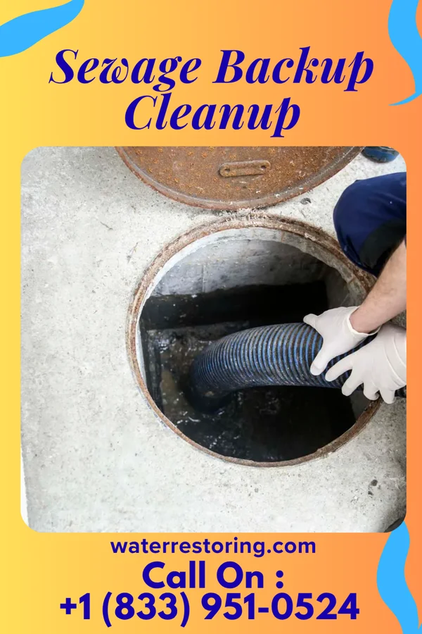Sewage Backup Cleanup in Castleberry, AL